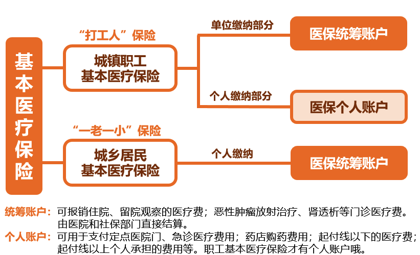 基本医疗保险